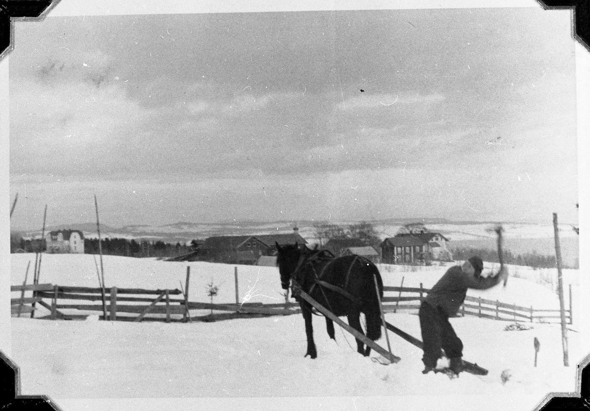 Jacob Onsrud lunner sliptømmer med hest på gården Hermanrud på Kapp, Østre Toten. Året er 1936.