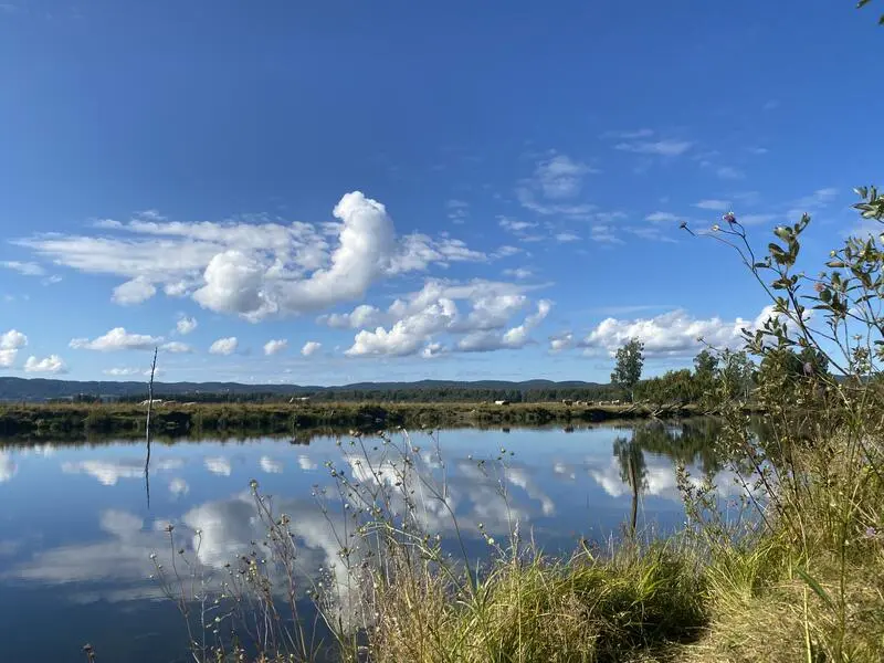 Landskapsfoto av Nordre Øyeren naturreservat ved elvebredden og ut mot en av øyene