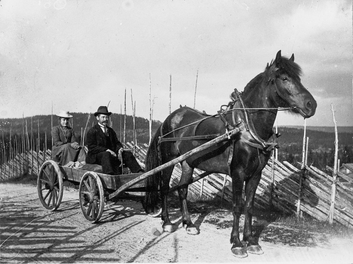 Hest med lassevogn. Kusk Elling Skåla og passasjer Gro Kaugerud. Eggedal, ca. 1900-1910. 