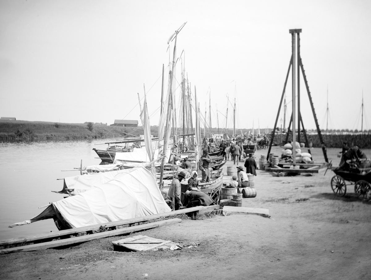 Linköpings hamn omkring år 1890. Sommartid kom fiskebåtar från kusten till Linköping för avsalu av främst salt strömming. Pålningskranen till höger visar på arbetet med en ny och efterlängtad hamnkran.