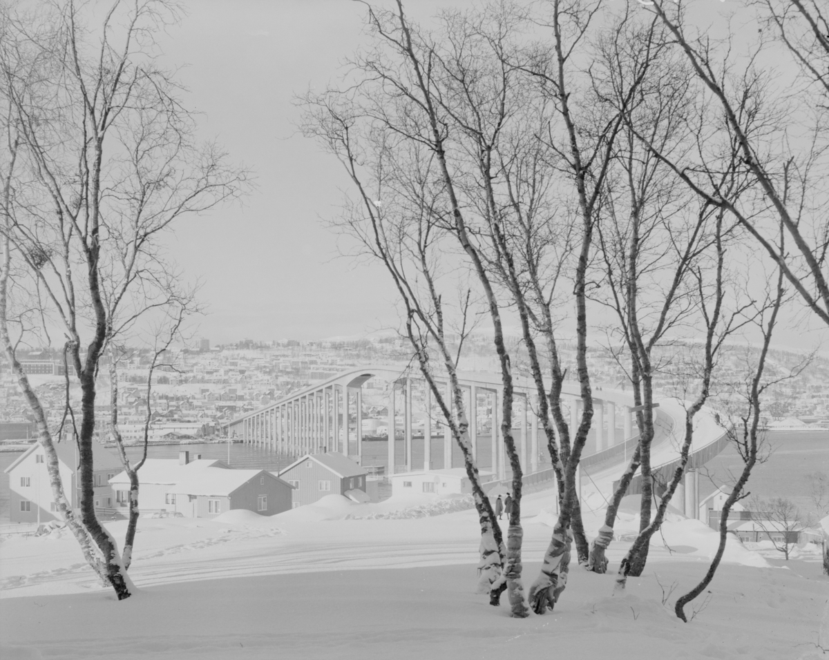Foto av Tromsøbrua. Brua fikk Betongtavlen i 1963 og blei freda av Riksantikvaren i 2008.