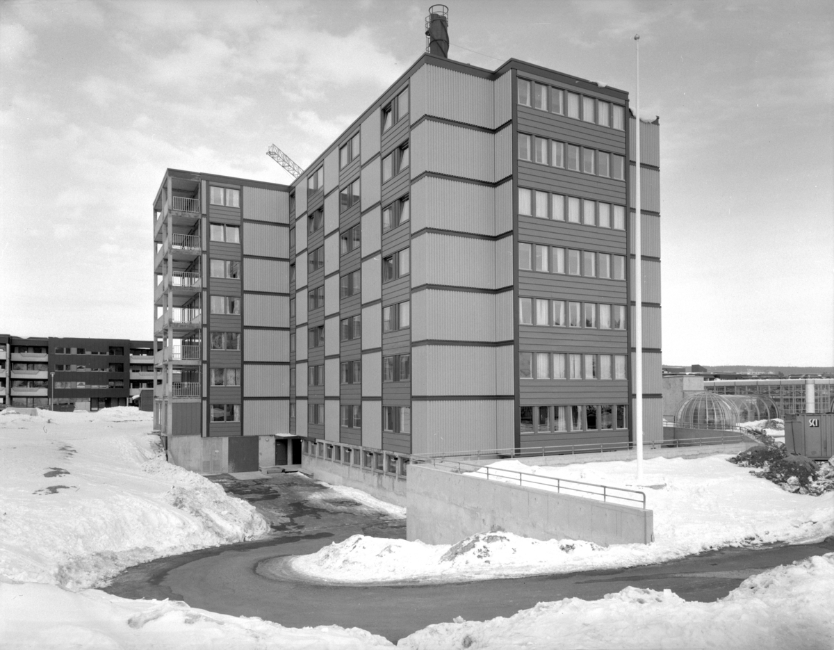 Arkitekturfoto av Furuset sykehjem i Groruddalen.
