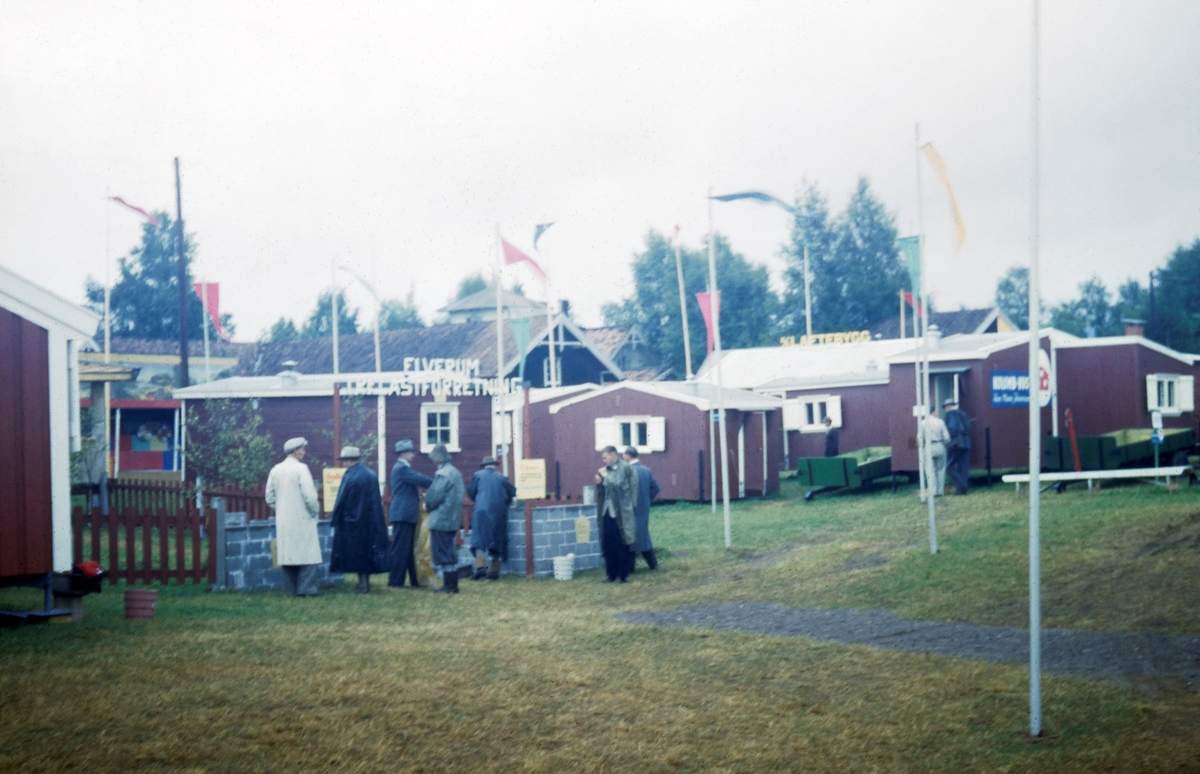 Skogbruksutstillingen på Glomdalsmuseet, Elverum, Hedmark i 1953. Besøkende og deler av utstillingsområdet. Skogbruksutstillingen i 1953 ble arrangert av en komité med medlemmer fra skognæringene og fra friluftslivsorganisasjonene. Arrangementet ble lagt til Elverum, fordi dette tettstedet ligger sentralt i en av Norges betydeligste skogregioner, og til Glomdalsmuseet fordi museet hadde en arena som egnet seg godt for friluftsarrangementer. Inspirert av den store interessen publikum hadde vist for skogbruk, jakt og ferskvannsfiske under skogbruksutstillingen, ble Norsk Skogbruksmuseum etablert på Elverum i 1954.