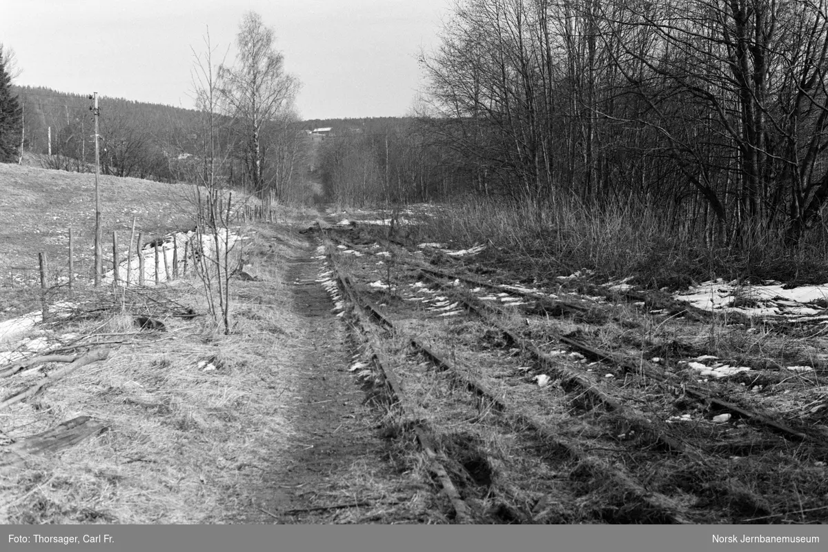 Gjengrodde sporveksler i det nedlagte Skedsmo sandforretning sidespor ved Leirsund