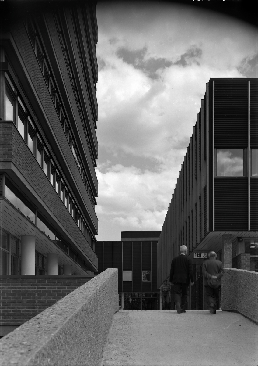 Arkitekturfoto. Fra Universitet i Oslo. Administrasjonsbygget (1964) og Lavblokken (Kristian Ottosens hus (1964)).