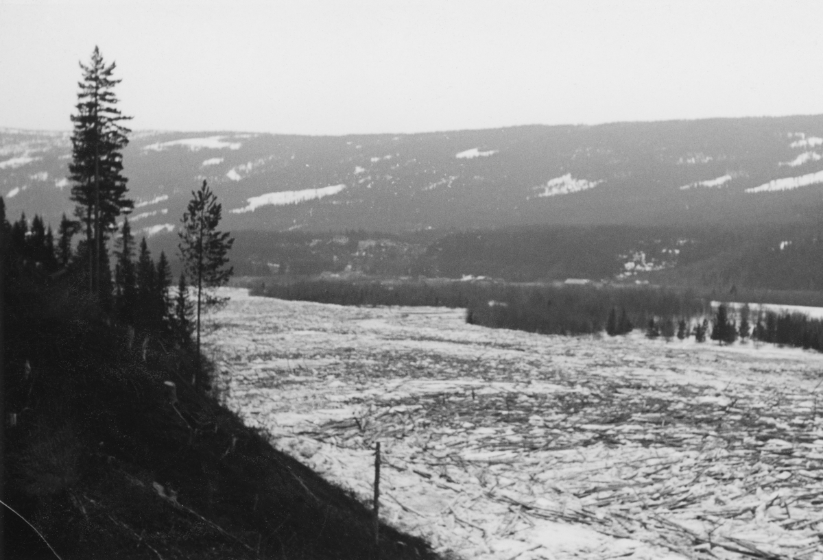 Isflak- og fløtingstømmer i Glomma ved Bjøråneset i Stor-Elvdal vinteren 1959. Dette året var det forholdsvis mye snø. I april kom det en del sludd og regn, og vannføringa i elvene steg raskt. I Glomma kom flommen før isen på elva hadde tint. Dette resulterte i kraftig isgang, som satte seg fast flere steder. til slutt ved de øverste Koppangsøyene. På de stedene der det dannet seg propper drev en god del fløtingsvirke inn på land, og Glomma fellesfløtingsforening måtte seinere leie traktorer og vinsjer for å få det tilbake til elveløpet, noe som innebar betydelige uforutsette utgifter. Fotografiet er tatt fra en forholdsvis bratt elveskråning med forholdsvis kraftige gran- og furutrær ned mot elveleiet.  På motsatt side av Glomma ses ei elveslette med blandingsskog, og bakenfor dette en åsrygg med tett barskog avbrutt av enkelte åpne, snødekte flater.