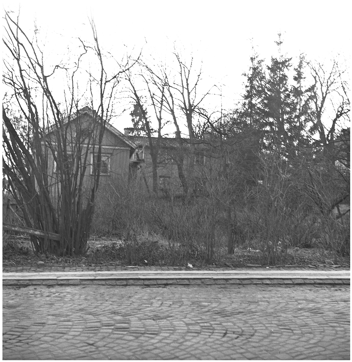 Åmans fastighet sedd från Plangatan. Trädgården i förgrunden Dec 1951
