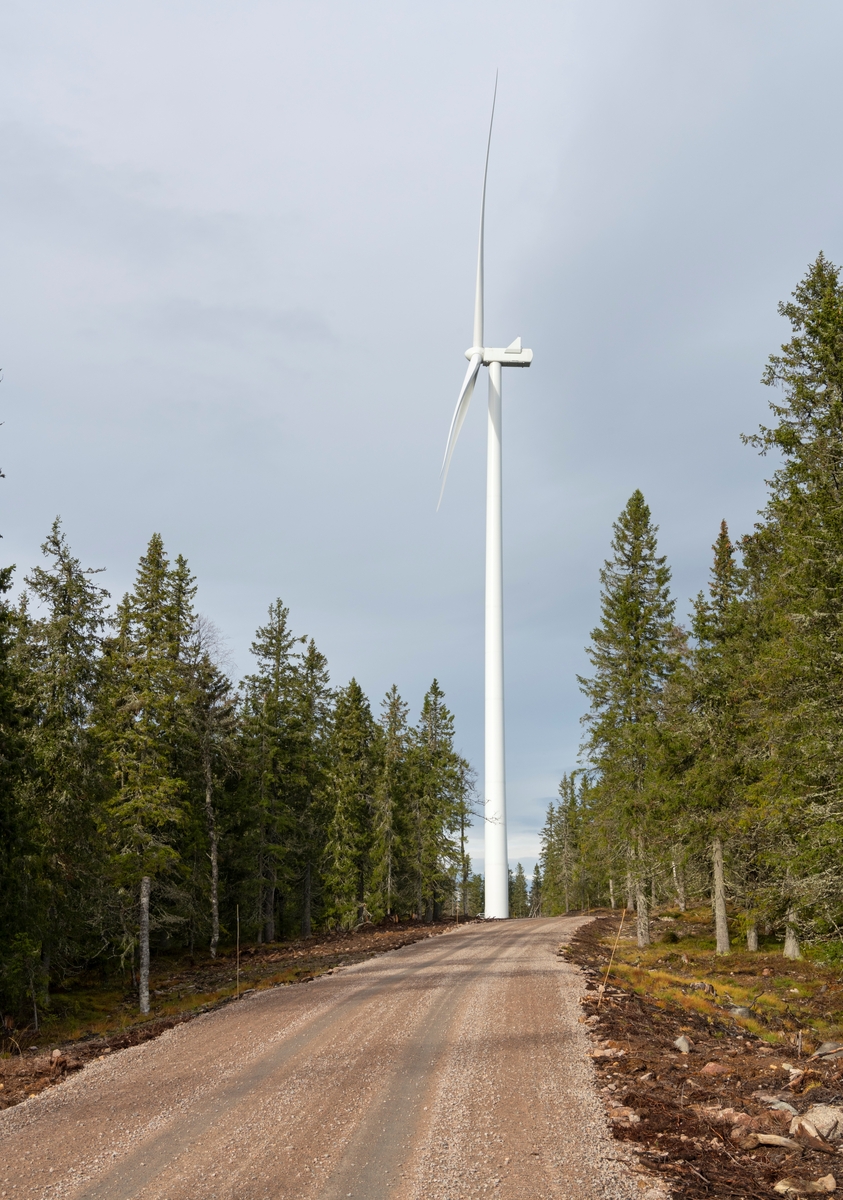 Vei mot vindturbin på Kjølbergstoppen i Kjølberget vindkraftverk på Finnskogen. Våler, Innlandet.