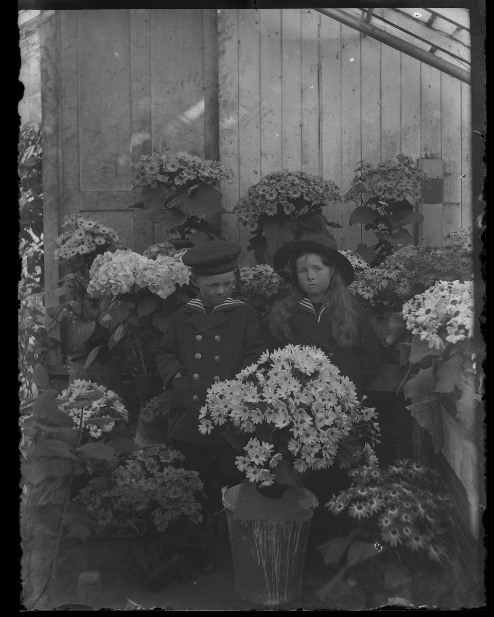 Västerås.
Två barn, flicka och pojke klädda i sjömansdräkter i blomhavet i ett växthus vid Solberga trädgård.
