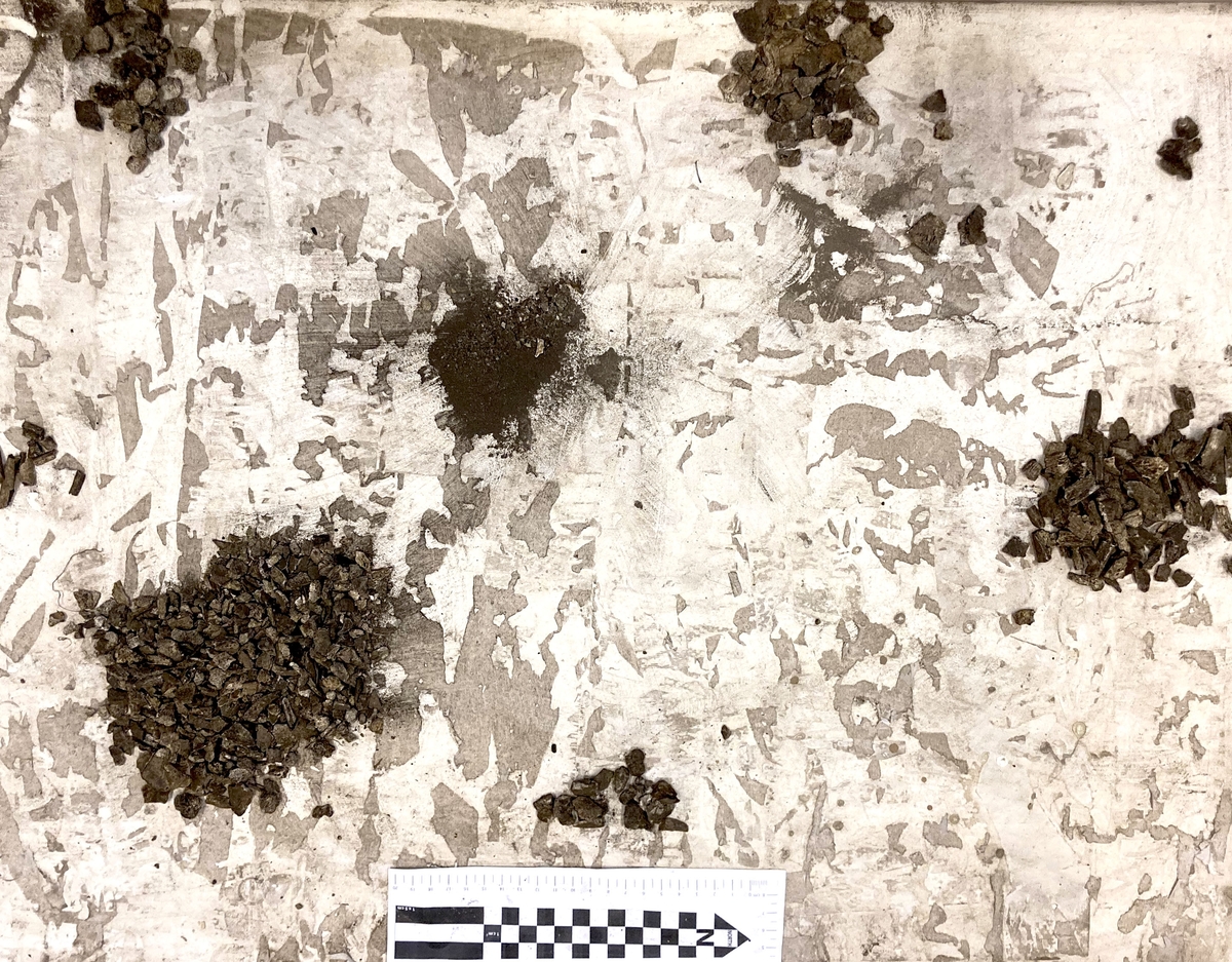 Osteologiskt material från undersökningen vid Åsen, Kolbäck 1968-1970