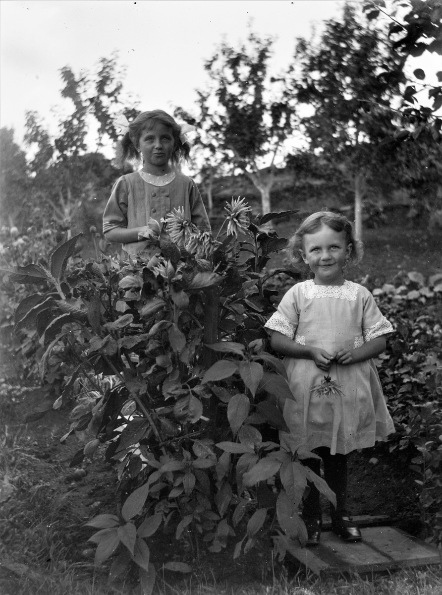 Två små flickor vid en dahliarabatt i blom. (Se även bild GEB212)