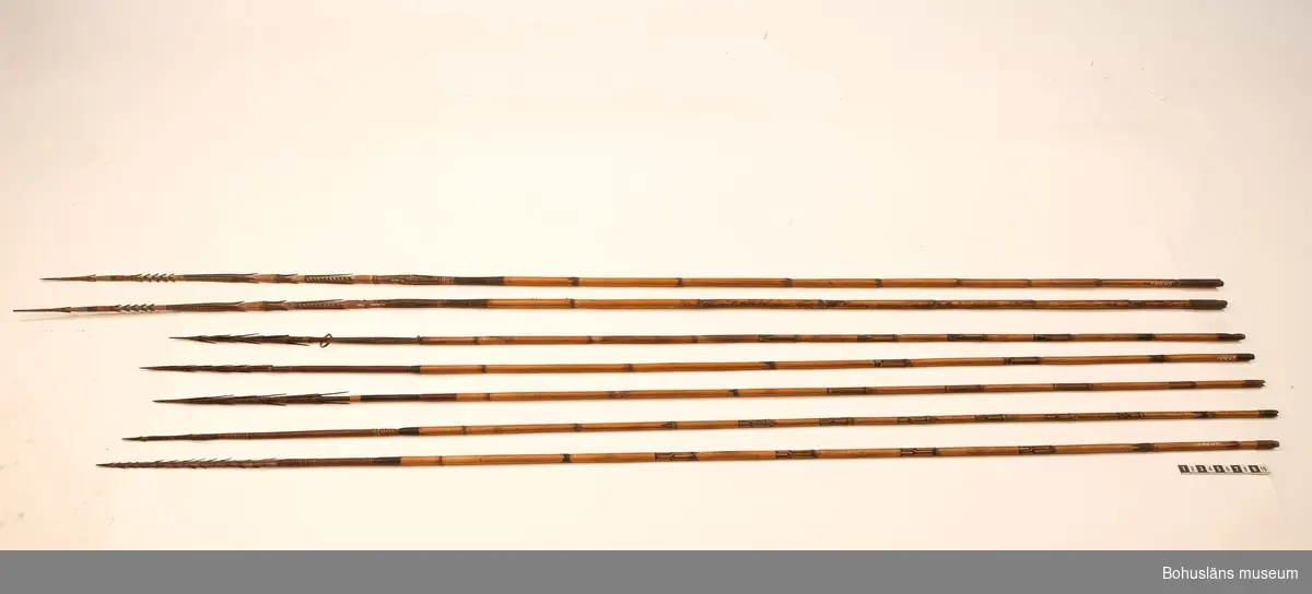 Ur handskrivna katalogen 1957-1958:
8 st pilar Austr.
Samtliga m. skaft av rör, Hullingförsedda, saknar styrfjädrar; träspets.
a och b); L. 162 och 161,5 cm m.lång spets av trä m. utskurna hullnigar, målad i svart, rött och vitt.
862 c) saknas, av samma typ och storlek som a och b.
862 d - h); L.139,5; 142; 138,3; 140; 140 cm; dessa 5 har påsurrade hullingar och inbränd dekor i skaftetn;
d - f) har hullingar av samma typ, d har dessutom en utskuren och målad del på skaftet bakom hullingarna; 
g) har endast 2 hullingkransar;
h) har hullingar av annan typ, mindre, tätare placerade och flera.
Samtliga pilar har smärre skador.
