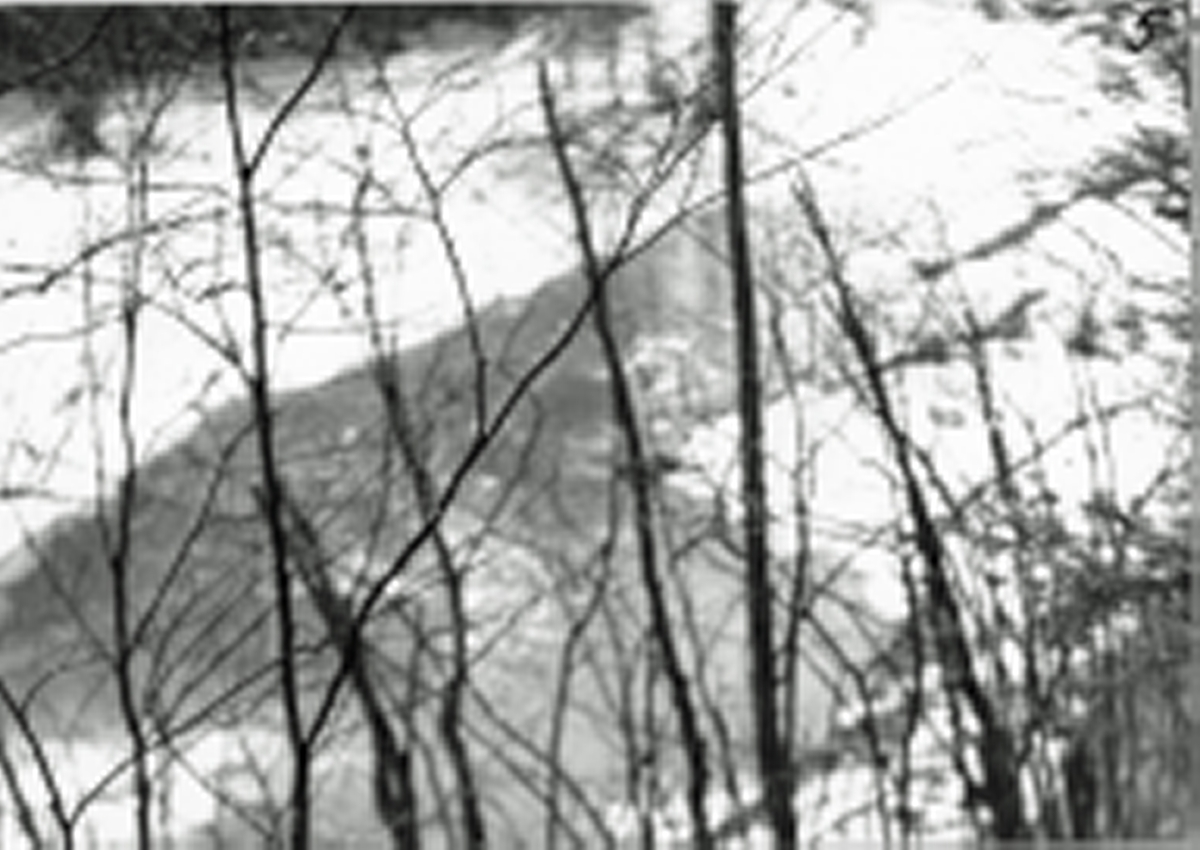 Avd. K/JR 13, Jandeba 1942. Jandeba sett från en av Avd. K:s utposter.