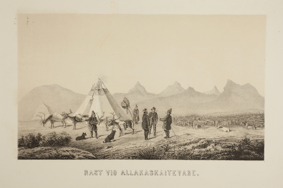 Grafiskt tryck. Motivet 