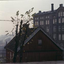 Gammelt v/ Beyerfos i Akerselva. Nov. 1976