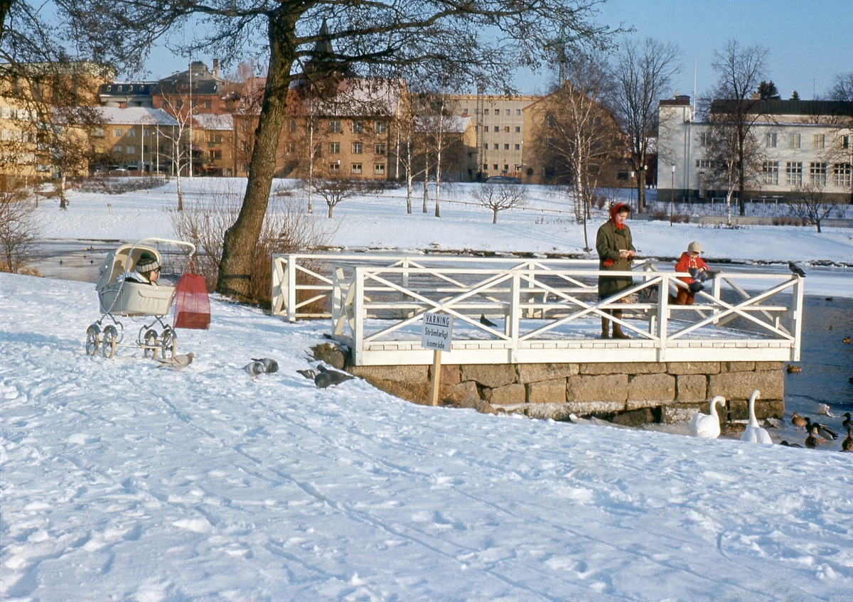 Vinteridyll i Mjölby där då som nu Gästisparken gärna besöktes. I bakgrunden stadens hållpunkter i stadshuset och varmbadhuset med kvarnområdet som fond.