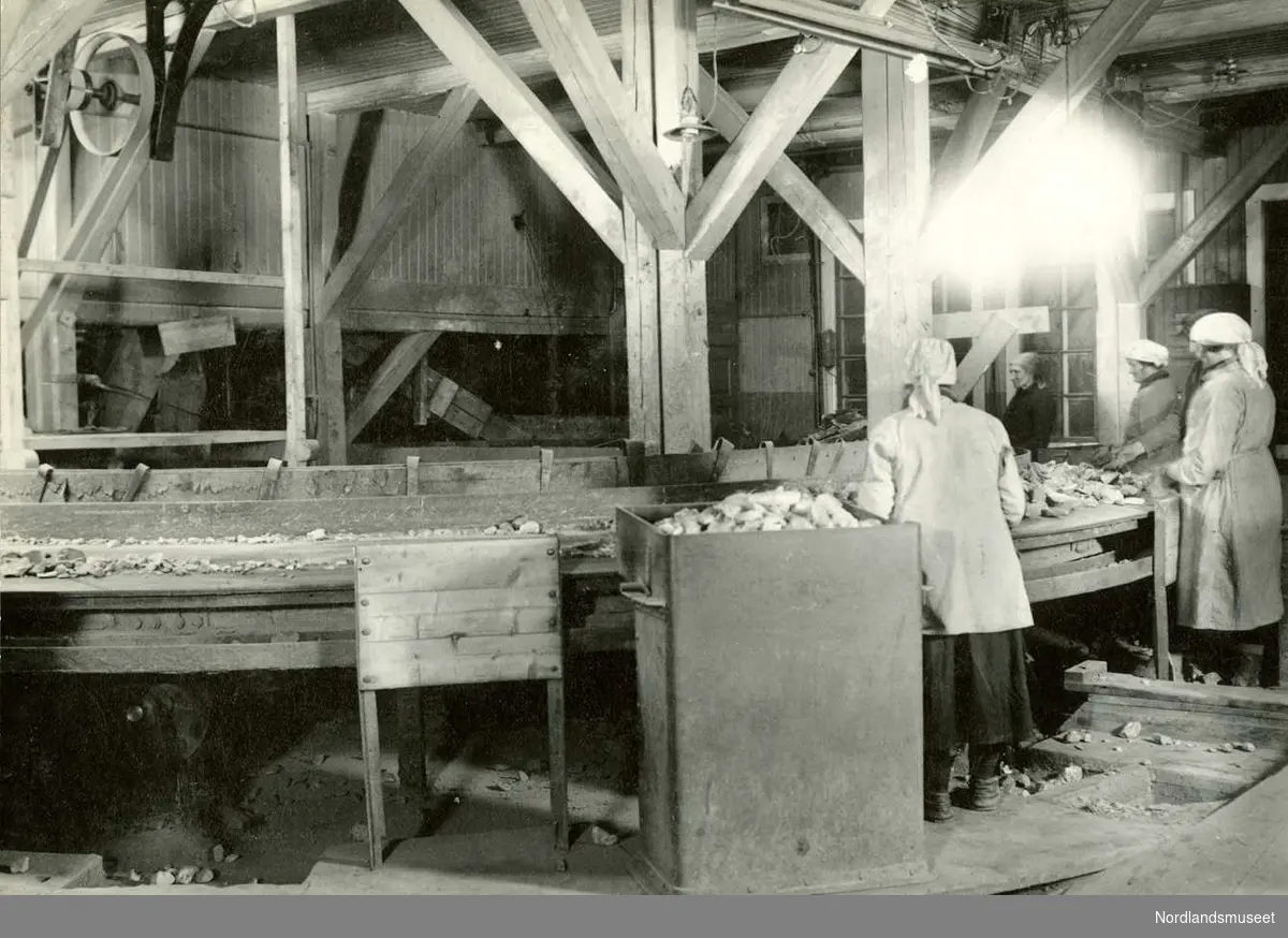 Sandnes. 
I en lengre periode etter 1905 var det kvinner som utførte arbeidet med ”plukking av malm” etter at råmalmen først var knust maskinelt i et knuseverk. Hvor dette bildet er avfotografert er ikke kjent. Det kan være fra samme sted som bilde 0055, som antydes å være fra gruvene i Kåfjord som i en periode var eiet av Persson. 

Foto Ukjent.