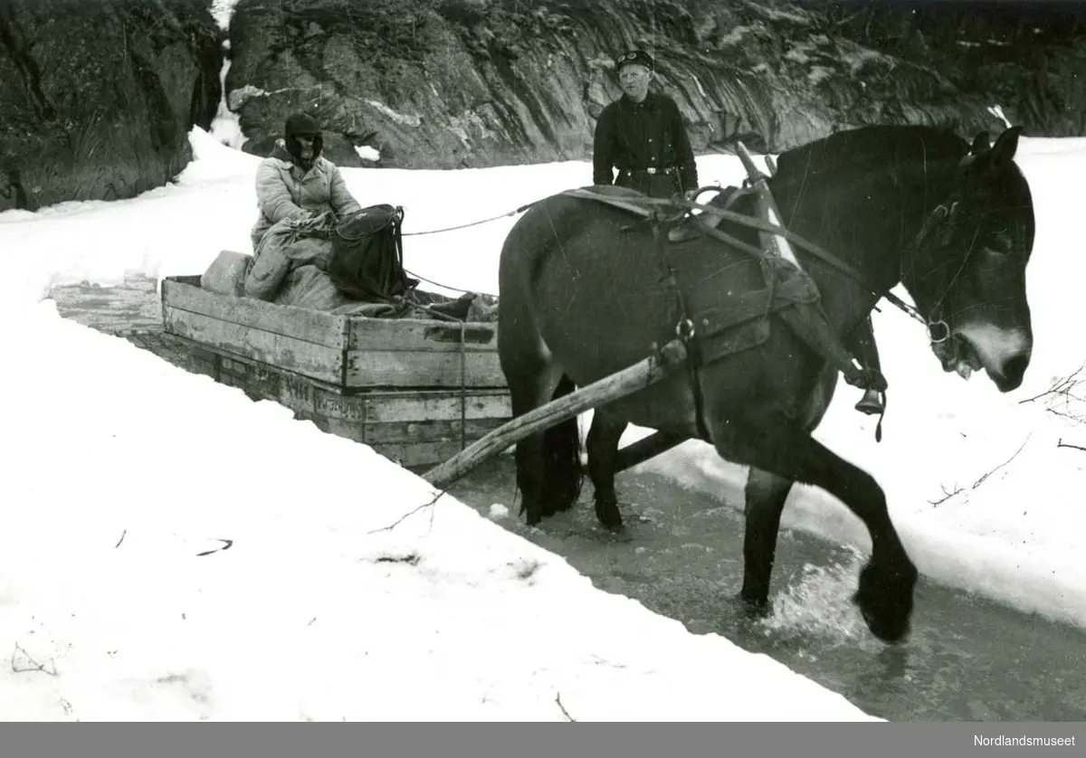 Transport Industri Bergverk Sulitjelma vinter is hest slede