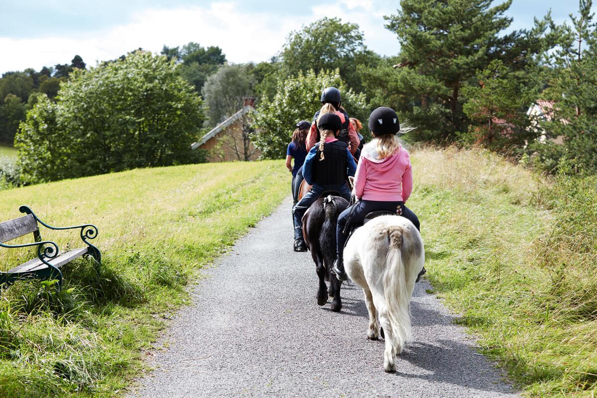the-riding-school-bygd-kongsg-rd