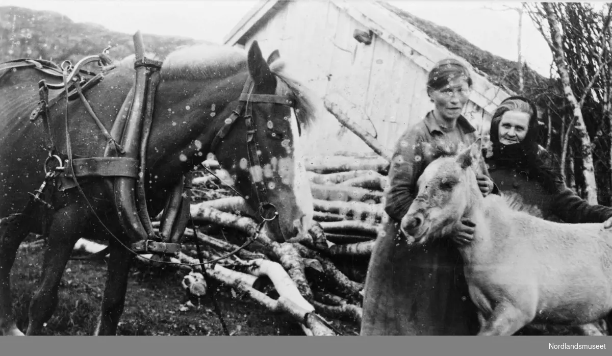 Vedarbeid, hest og føll. Fra venstre Dine Olsen og Lovise Olsen - kona til Ole Olsen. Hestvik, på gården hos Ole Pedersen, ca. 1930.