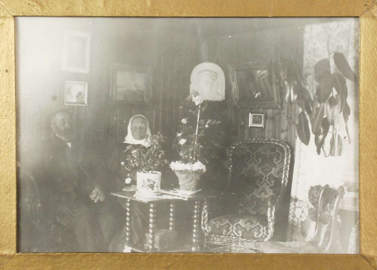 Marthe og Johan Bøe gullbryllupsdag i 1904.