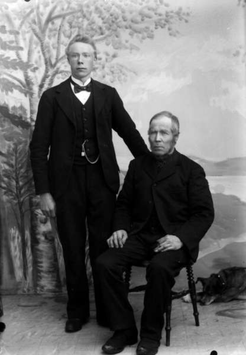 Pro: Erland Hagestuen med sønn Johan. 26.03.1900. Gruppebilde

Sønnen emigrerte til Canada og tok etternavn Hagen.