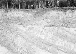 07.07.1909. Adjunkt Holmes pl. fra veiskråning.