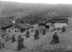 Kort: 26.09.1909. Sagdalen i Sel. Bolighus, uthus, gjerde, k