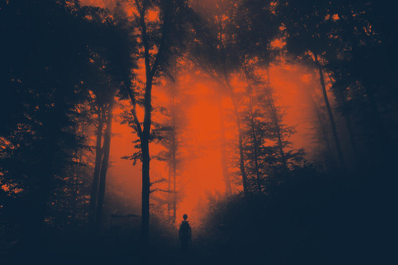 man-silhouette-in-dark-scary-mysterious-forest-2021-09-17-18-24-55-utc_copy.jpg. Foto/Photo