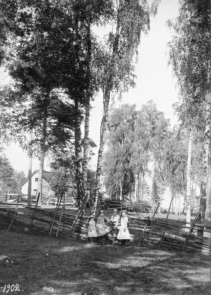 Lantlig fridfullhet i Roxenbaden 1902. Bostadshuset i bakgrunden tillhörde vid tiden lantbruket Lilla Sandvik.