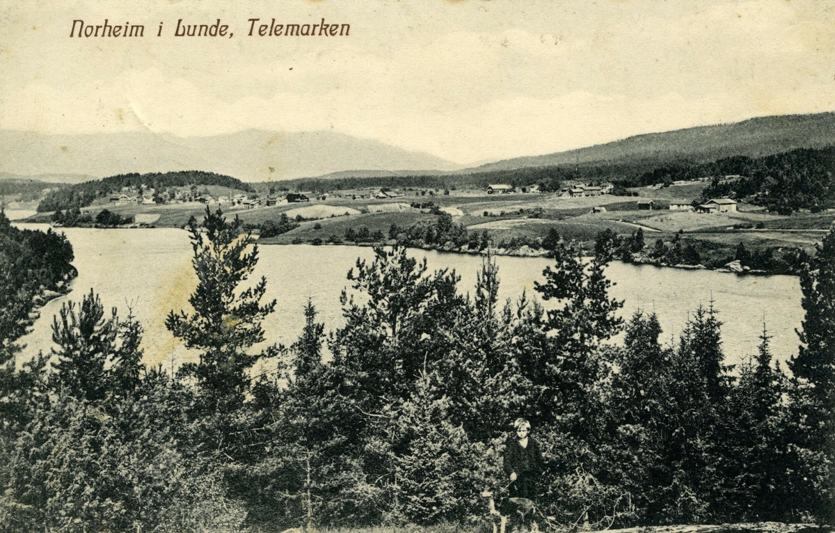 Postkort av Norheim i Telemarken