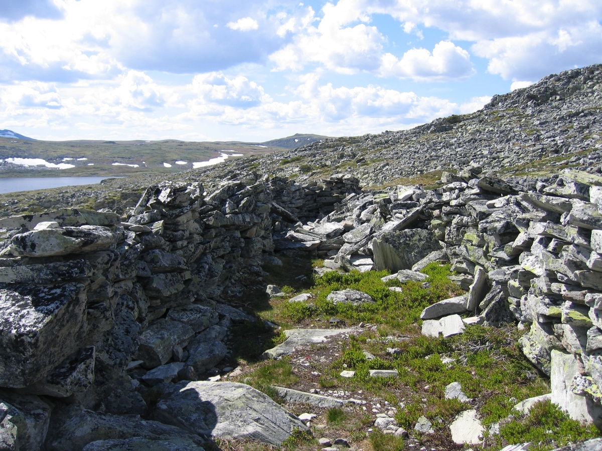 Storgraven i Gravhø