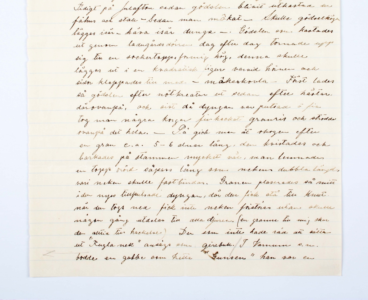 Uppteckning (anteckning) i form av stort linjerat pappersblad med handskriven text: "Till julens förberedelser hörde uppsättande av s.k. "Fugla-neker". Kallades även "Fuglagraner".............. Skriven av Gustav Källman i Brunstorp 16/4-1927.