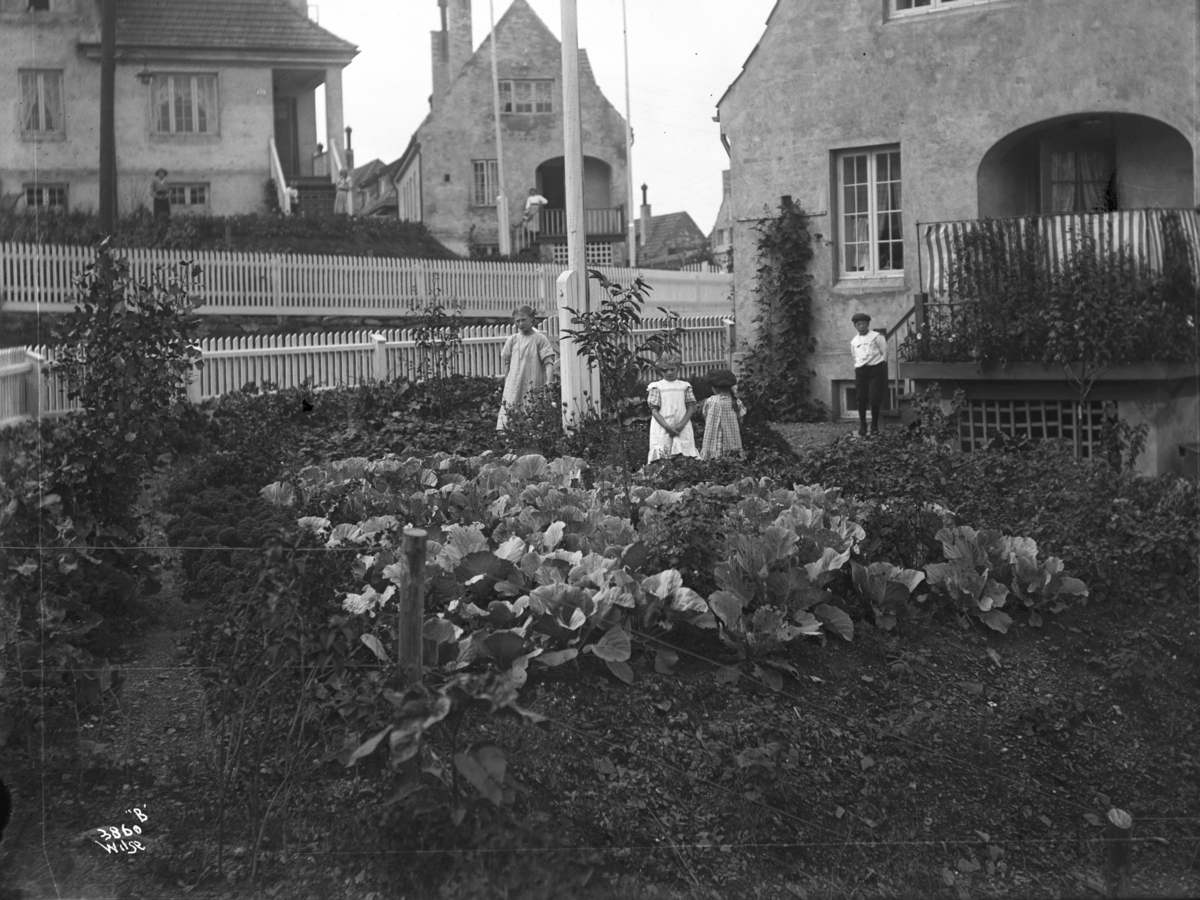 Hageanlegg med grønnsaker, tre jenter og en gutt innenfor gjerdet, murhus på begge sider av veien.