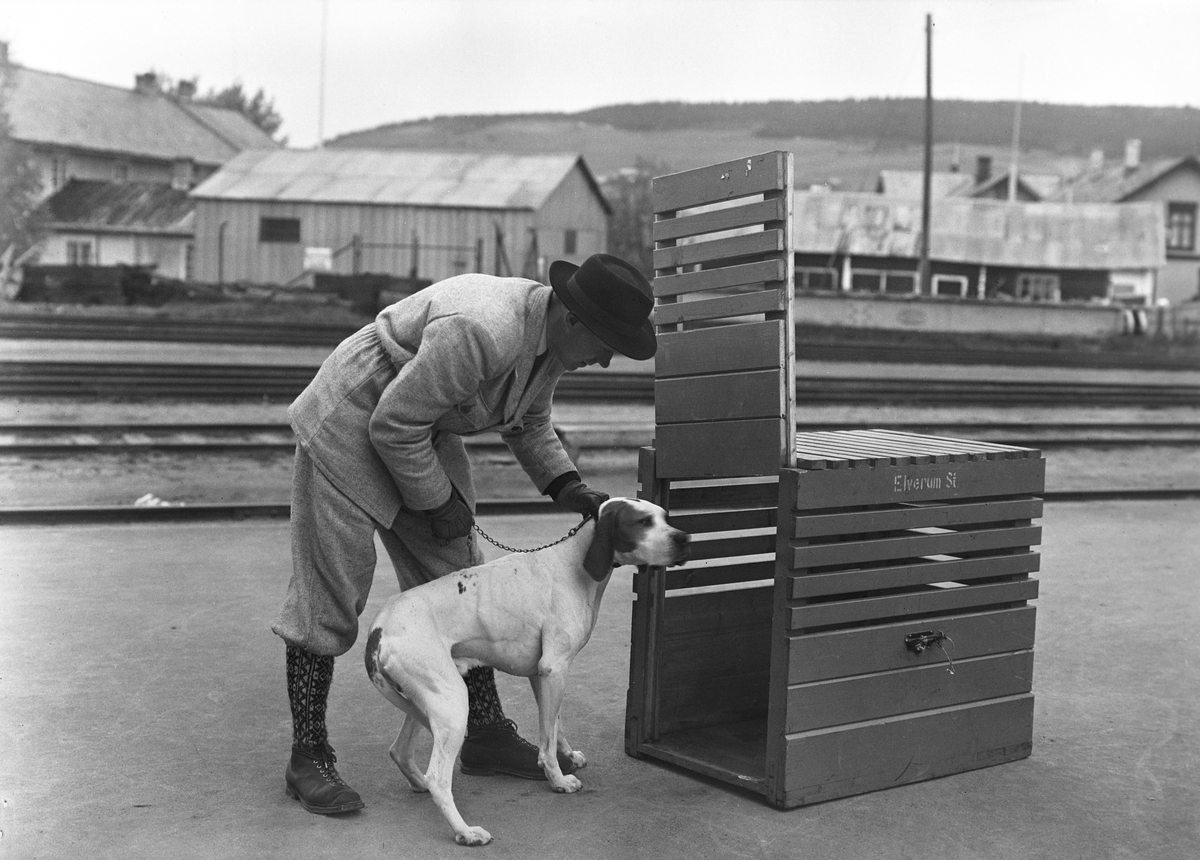 Transport av hund, hundeeier i ferd med å lokke hunden inn i reisekasse, antatt reise med tog.