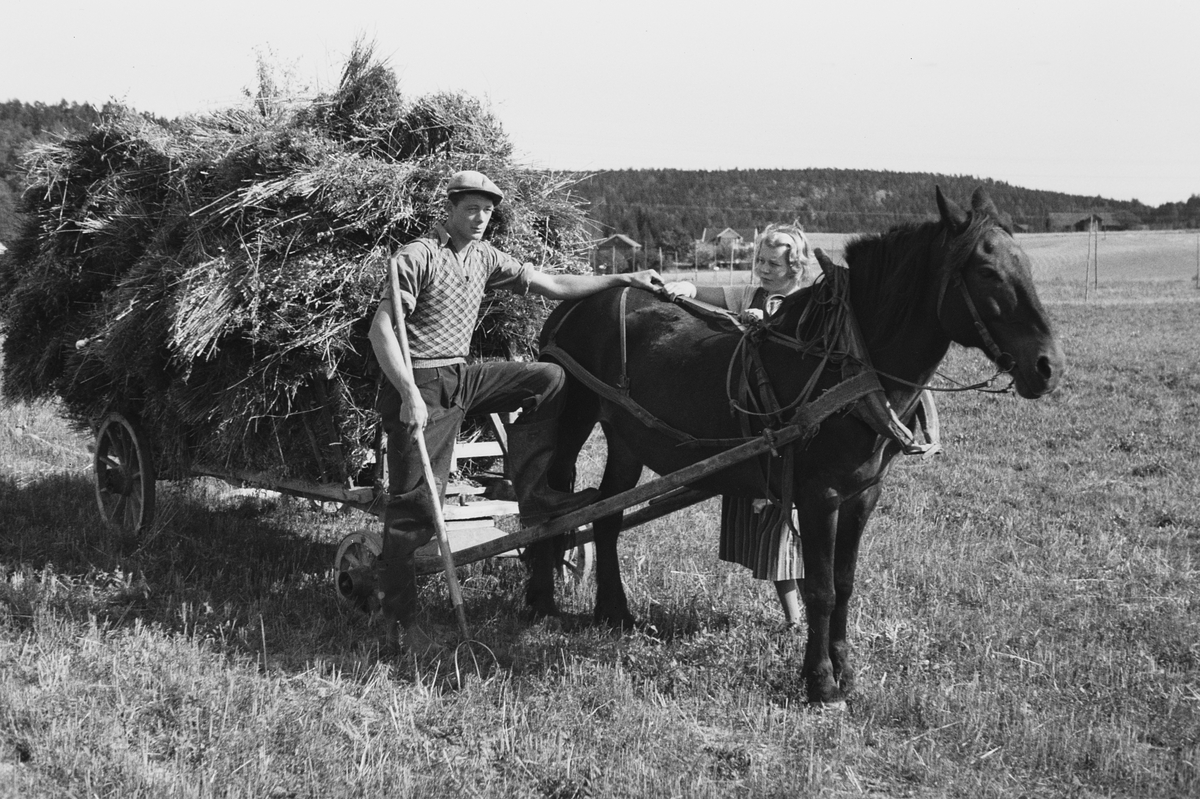 Høyonn, hest og vogn sørger for at transporten, etter stor innsats fra gårdens eiere.
