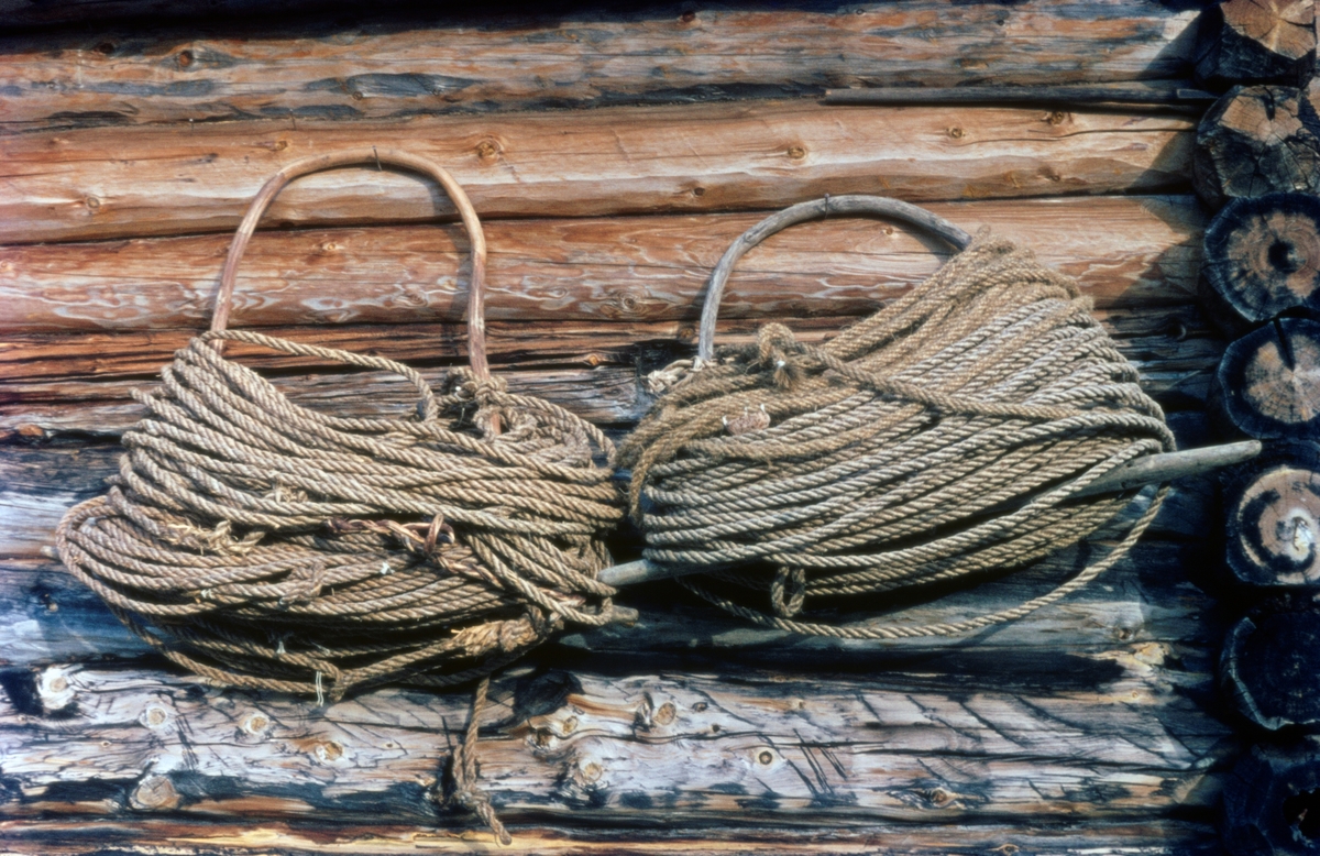 Nottau. To tausuler på tømmervegg på Fiskevollen ved Sølensjøen i Øvre Rendalen i Hedmark. En tausule var lagd av ei fjøl, som det var tappet en tynn bjørke- eller seljestamme som var bøyd i U-form. Inntappingspunktene ble plassert noe innenfor den nevnte fjølas ender. På den måten kunne tauet kveiles rundt den U-formete bøyla, hvor fjøla hindret det fra å skli av igjen når tausulene ble båret eller hengt til tørk, som her. I dette tilfellet hang tausulene på ytterveggen på den laftete «kjellen» til Haagen Hangaard (1889-1989). En kjell er betegnelsen på redskapshusene som ble brukt i innlandsfiskeværet på Fiskevollen. Slike hus ble oppført av laftetømmer. De hadde rektangulært grunnplan med ett rom, som hadde inngang midt på den ene gavlveggen, ellers ingen dører eller vinduer. Takene var, som på andre tradisjonelle hus på Sølensjøen, tekket med never og torv.