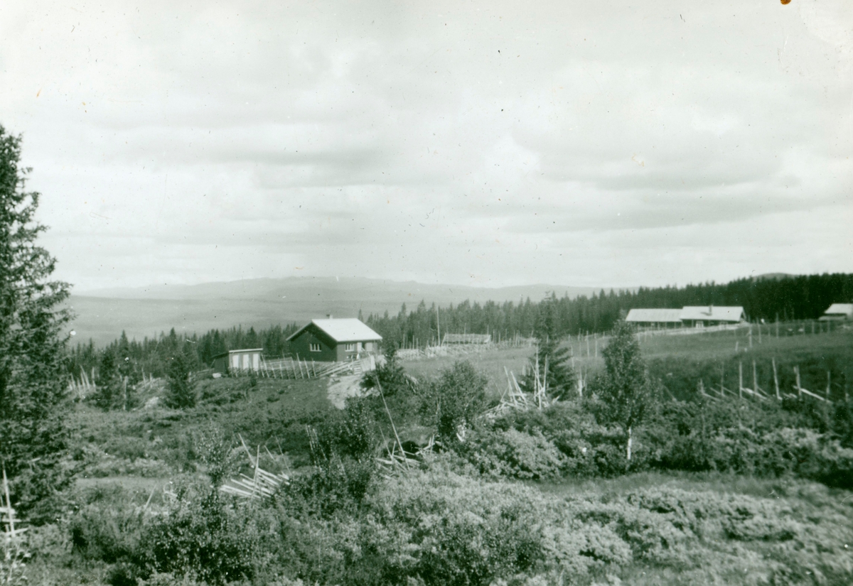 Elbjørsvollen på Smylistølen i 1950 åra.
Til h. er stølsbua med fjøs.
Til v.er hytta som Andres Elbjør sette opp.