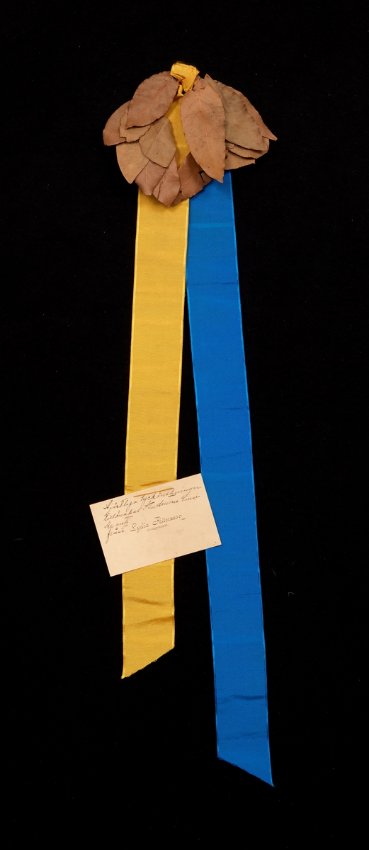 Studentkrans med band. Ett gult och blått band fastsatt i en lagerkrans. På det gula bandet ett visitkort med text: "Hjärtliga lyckönskningar tillönskas studenten Einar Krantz från Lydia Pettersson".
Från Einar Krantz studentexamen 1/6 1897, Falun.