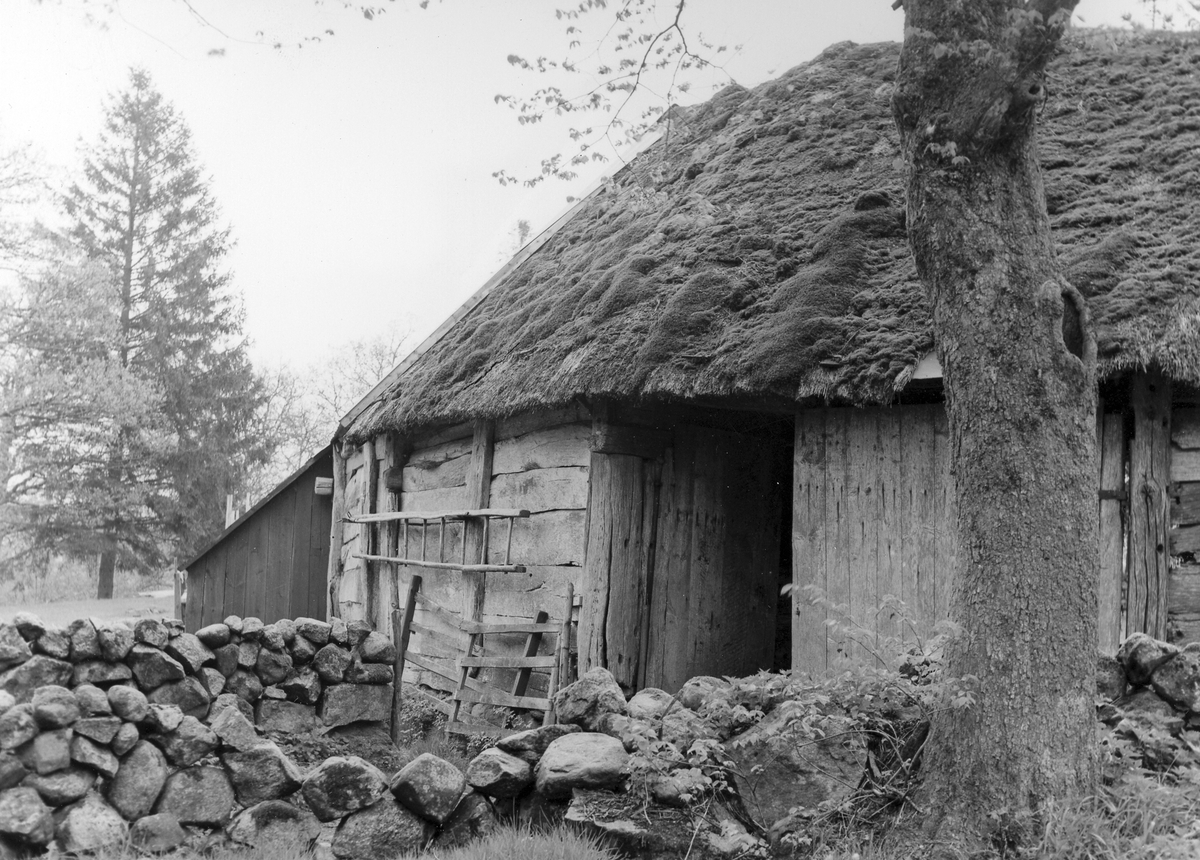 Knäreds sn. Torsakulla. Fotografi av fähus m.m. i tresidig gårdsanläggning, som delvis rivits.