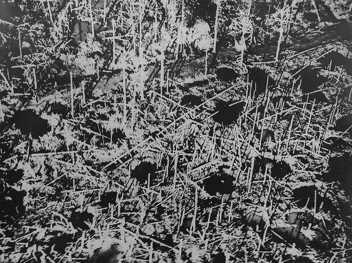 Från Flandernfronten: En del av Houthoulstskogen. Fotografi taget av en tysk flygare på en höjd av 50 meter. Den förut täta skogen har av granater förvandlats mtill ett med trädstubbar och djupa hål översållat fält.