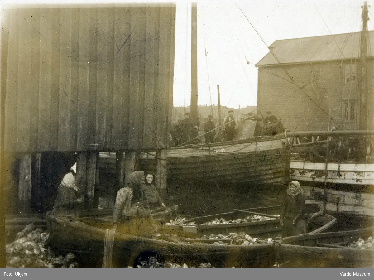 Fire kvinner under fiskearbeid i Vardø, antatt 1912. Store mengder fiskehoder fyller båtene og omgivelsene rundt
