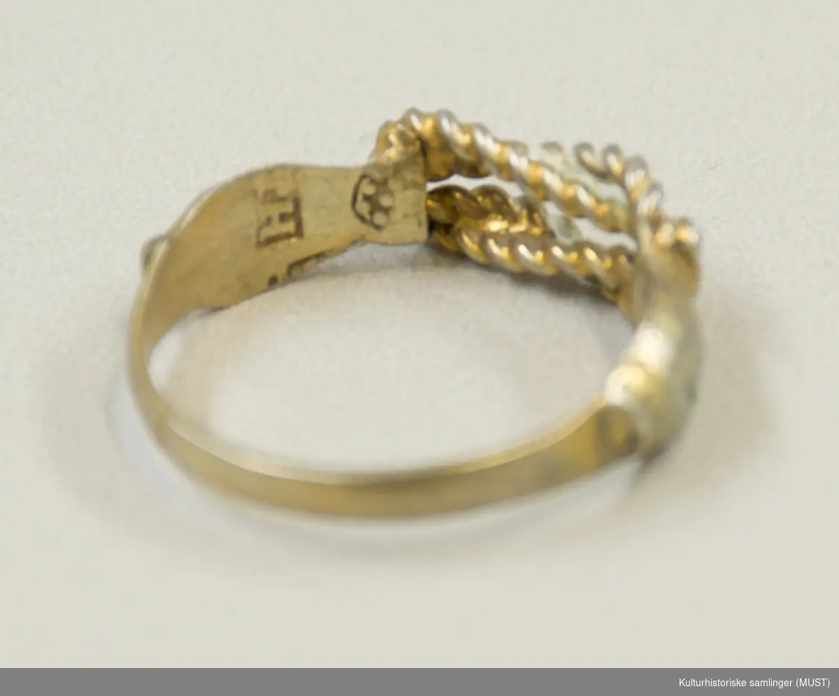 Ringen har skjellformete plater på hver side. Øverst på ringen danner flettet gull en sløyfe.