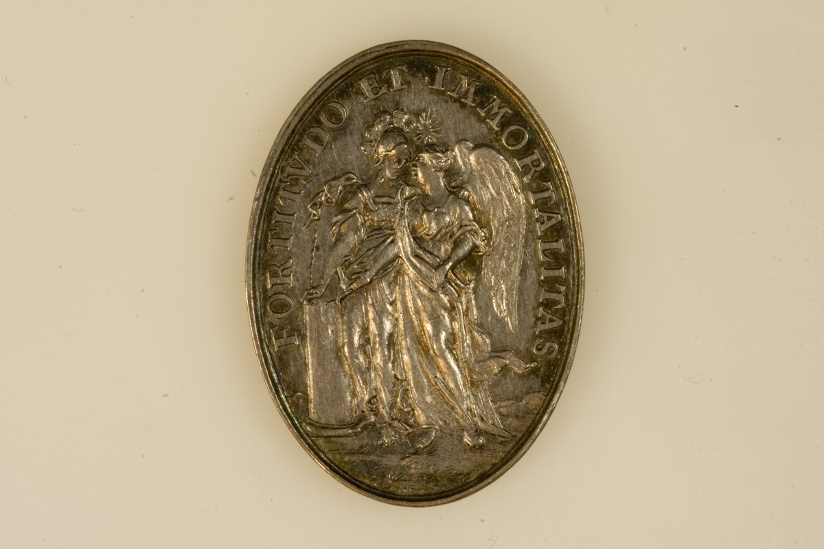 Motiv advers: Kong Karl XII av Sverige, byste i profil mot høyre.

Motiv revers: Personifiserte symboler på styrke (hjelmkledd kriger) og udødelighet (vinget kvinne).