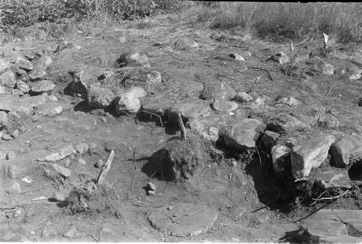 Fjetland, Røldal. Utgravning av hustuft i 1953. Nordre endevegg.