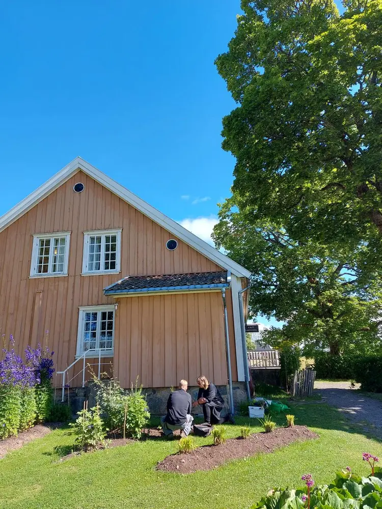 Bildet viser to mennesker som ser på blomster.