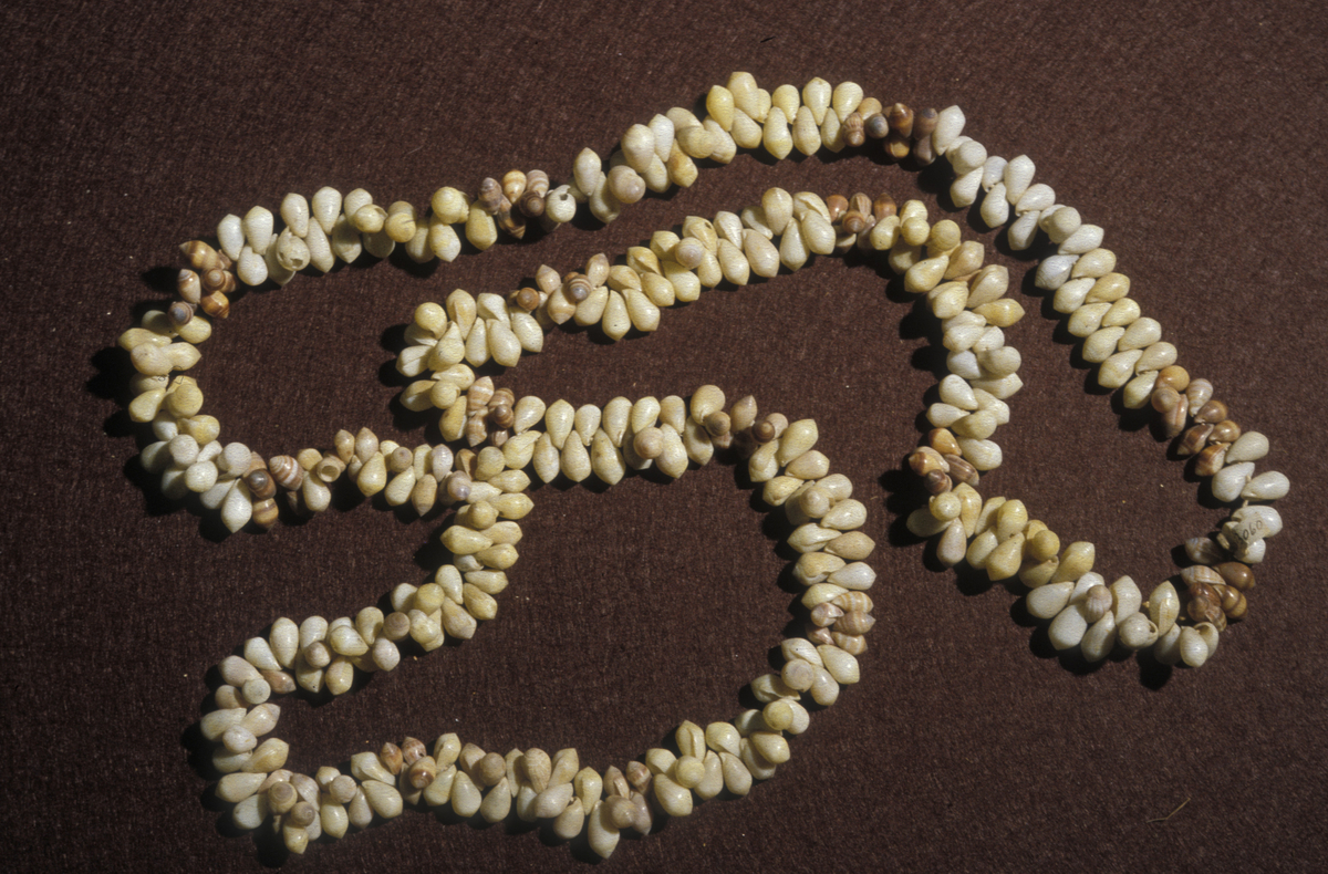 Halsbånd, sneglehus i vekslende grupper av hvite, gule og brune skjell, Tuvalu, Polynesia