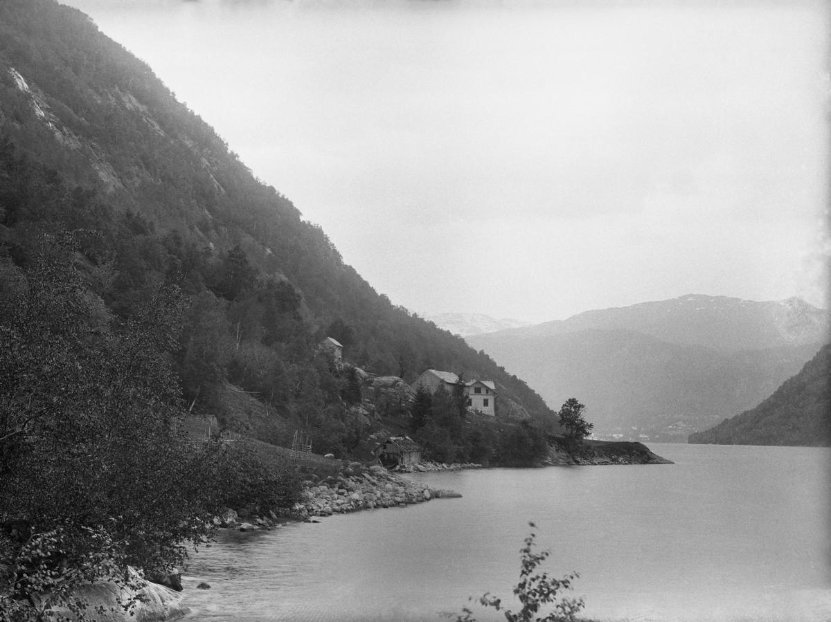 Lofthus fotografiske samling - Universitetsmuseet i Bergen, Fotobasen ...