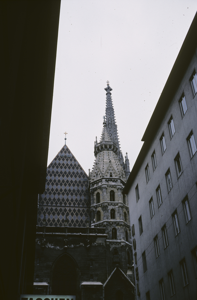 St. Stephan katedralen i Wien.