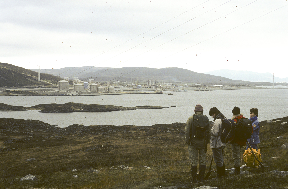 Registrering på Ogn, Bokn k. (jfr tema A4/1985) - Arkeologisk museum ...